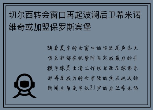 切尔西转会窗口再起波澜后卫希米诺维奇或加盟保罗斯宾堡